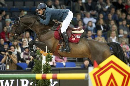 Olympisch springpaard en KWPN erkend! Apardi