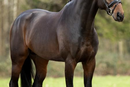 Louis stand schuin voor 20