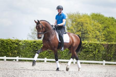 foto`s Kathleen van Winden Harun draf