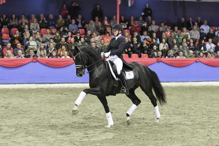 Blue Hors St. Schufro
